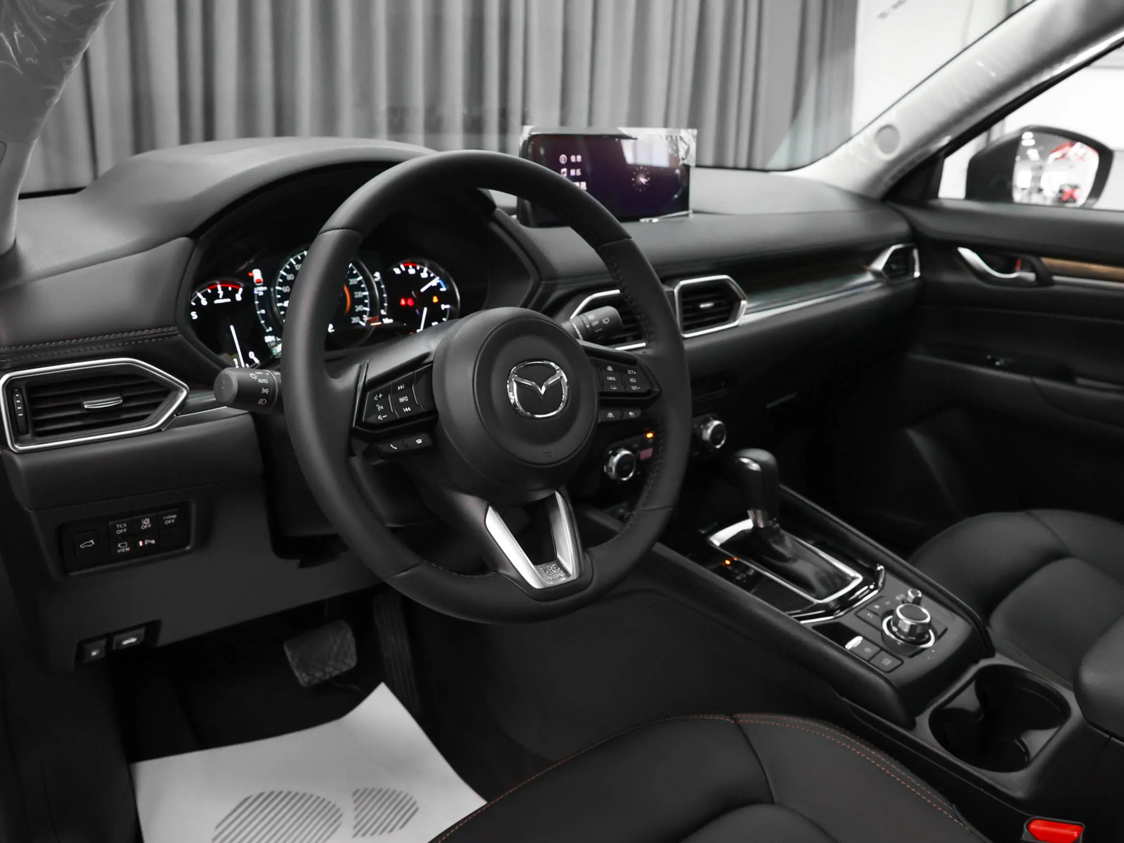 CarPic
